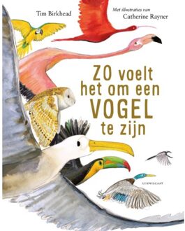 Zo voelt het om een vogel te zijn 9+