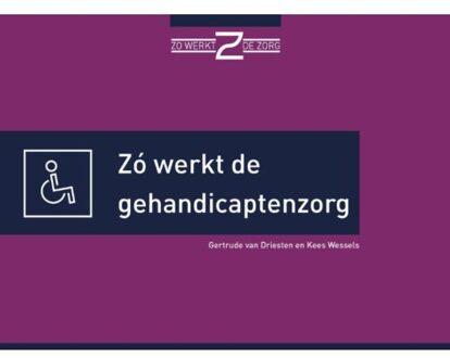 Zó werkt de gehandicaptenzorg