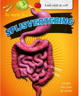 Zo werkt je spijsvertering