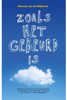 Zoals het gebeurd is - Boek Herman van de Wijdeven (9022330192)