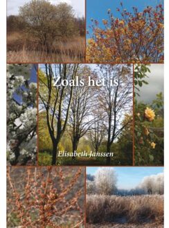 Zoals het is - Boek Elisabeth Janssen (9085708915)
