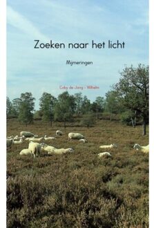 Zoeken Naar Het Licht - (ISBN:9789463422833)
