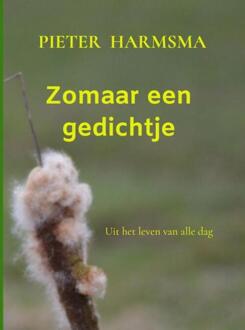 Zomaar Een Gedichtje - Pieter Harmsma