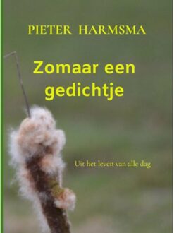 Zomaar Een Gedichtje - Pieter Harmsma