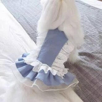 Zomer Dunne Ademende Pet Rok Teddybeer Bomei Vip Yorkshire Hond Jurk Denim Kant Rok Haze blauw Skirt