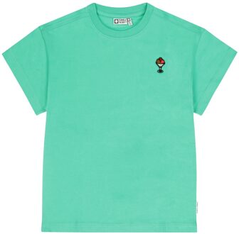 zomer t-shirt meisjes - mint - Rouen - Maat 104