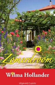 Zomerdroom - eBook Wilma Hollander (9462040095)