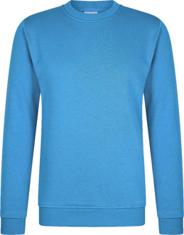 Zomers sweatshirt Blauw - L