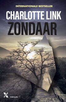 Zondaar - Charlotte Link - ebook