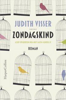 Zondagskind - eBook Judith Visser (9402755039)