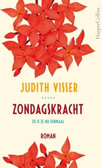 Zondagskracht - Judith Visser - ebook