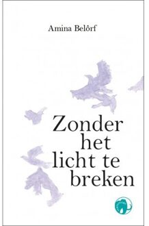 Zonder Het Licht Te Breken