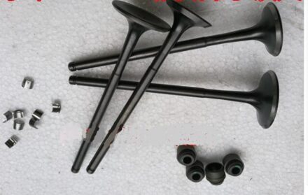 Zongshen CB250 250CC 4 Vier Valve NC250 RX3 Watergekoelde Motor Inlaat Uitlaatklep Dirt Pit Bike Atv Quad Kayo bse T4 T6 Onderdelen valve en olie- zegel