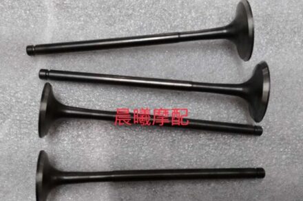 Zongshen CB250 250CC 4 Vier Valve NC250 RX3 Watergekoelde Motor Inlaat Uitlaatklep Dirt Pit Bike Atv Quad Kayo bse T4 T6 Onderdelen valve enkel en alleen