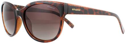 Zonnebril 4030/s Q3v/la Dames Bruin