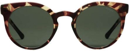 zonnebril Bruin - 000