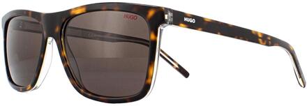 zonnebril HG 1003/S HAVNCRYST Bruin - 000