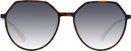 Zonnebril HIC9025 G21 59 Bruin