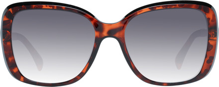 zonnebril KM5036 100 Bruine grijze gradiënt