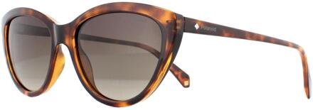 Zonnebril Pld 4080/s Dames Havanna Met Bruine Lens - gepolariseerd