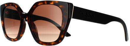 Zonnebril PR24XS Donkerbruin - 1 maat