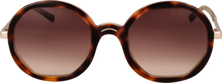 Zonnebril SD6042 170 53 - maat Bruin