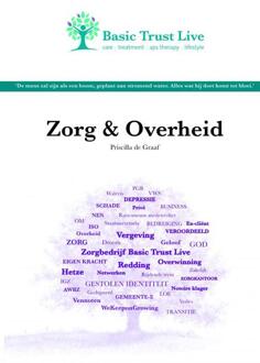 Zorg en Overheid - Boek Priscilla de Graaf (9463429018)