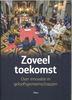Zoveel toekomst -   (ISBN: 9789085287599)