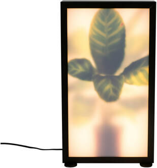 Zuiver Grow Vloerlamp M Zwart