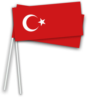 Zwaai/hand vlaggetjes Turkije 50x stuks 21 x 12 cm