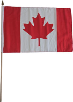 Zwaaivlag Canada - luxe - 30 x 45 cm - op lange stok - Feestartikelen / versiering