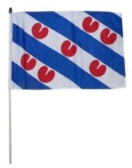 Zwaaivlag Friesland 30x45cm 12stuks multi