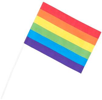 Zwaaivlaggen Regenboog 20 X 40 Cm Papier