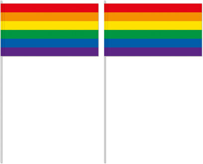 Zwaaivlaggetje/handvlaggetje met regenboog 12 x 24 cm Multi