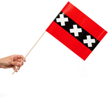 Zwaaivlaggetjes Amsterdam 20x30cm (10st) Multikleur - Print