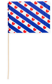 Zwaaivlaggetjes Friesland (10st) Multikleur - Print