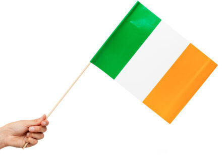 Zwaaivlaggetjes Ierland 20x30cm (10st) Multikleur - Print