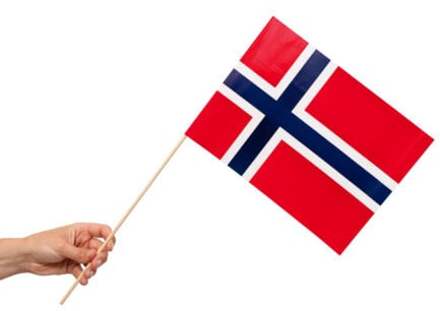 Zwaaivlaggetjes Noorwegen 20x30cm (10st) Multikleur - Print