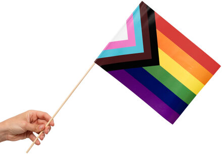 Zwaaivlaggetjes Pride Progress (10st) Multikleur - Print