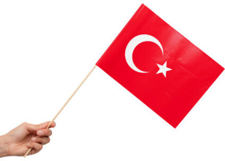 Zwaaivlaggetjes Turkije 20x30cm (10st) Multikleur - Print
