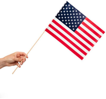 Zwaaivlaggetjes USA 20x30cm (10st) Multikleur - Print