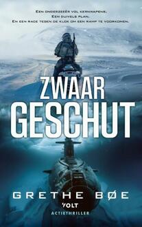 Zwaar geschut -  Grethe Bøe (ISBN: 9789021488141)