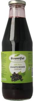 Zwarte Bessensap (750ml)