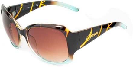 Zwarte Geïntroduceerde Zonnebril