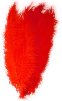 Zwarte Piet veren rood 50 cm