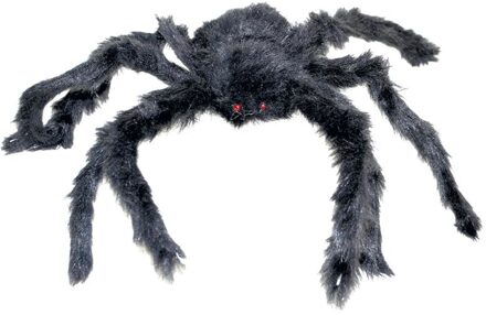 Zwarte Spin 60cm