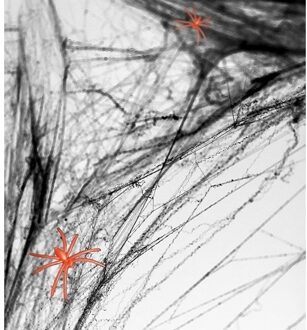 Zwarte spinnenweb decoratie met 2 spinnen
