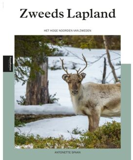 Zweeds Lapland - Antonette Spaan