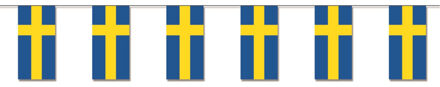 Zweedse feestvlaggetjes Multi