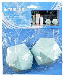 Zwembad Interline absorberende zwembadsponzen set van 2 stuks